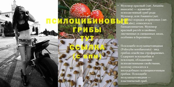 эйфоретик Слюдянка