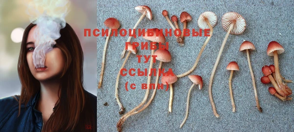 a pvp Сосновка